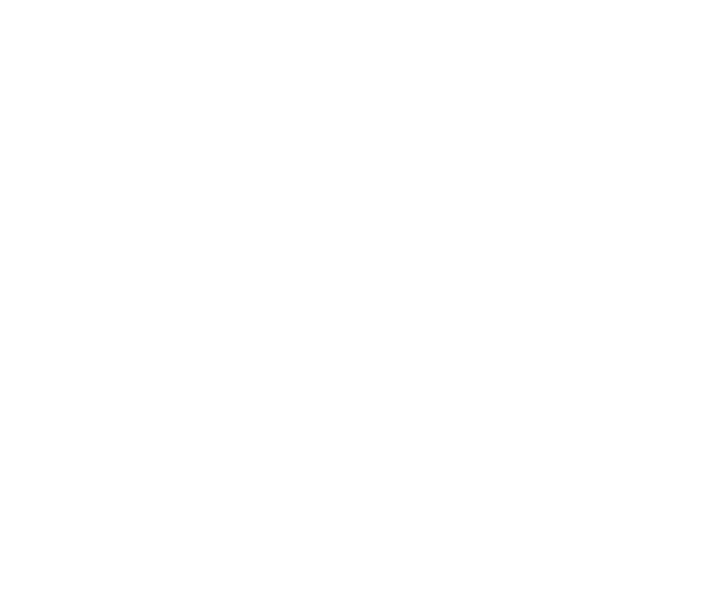 Aviva Ageless logo